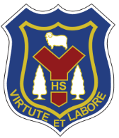 Screenshot 2025-06-20 094116